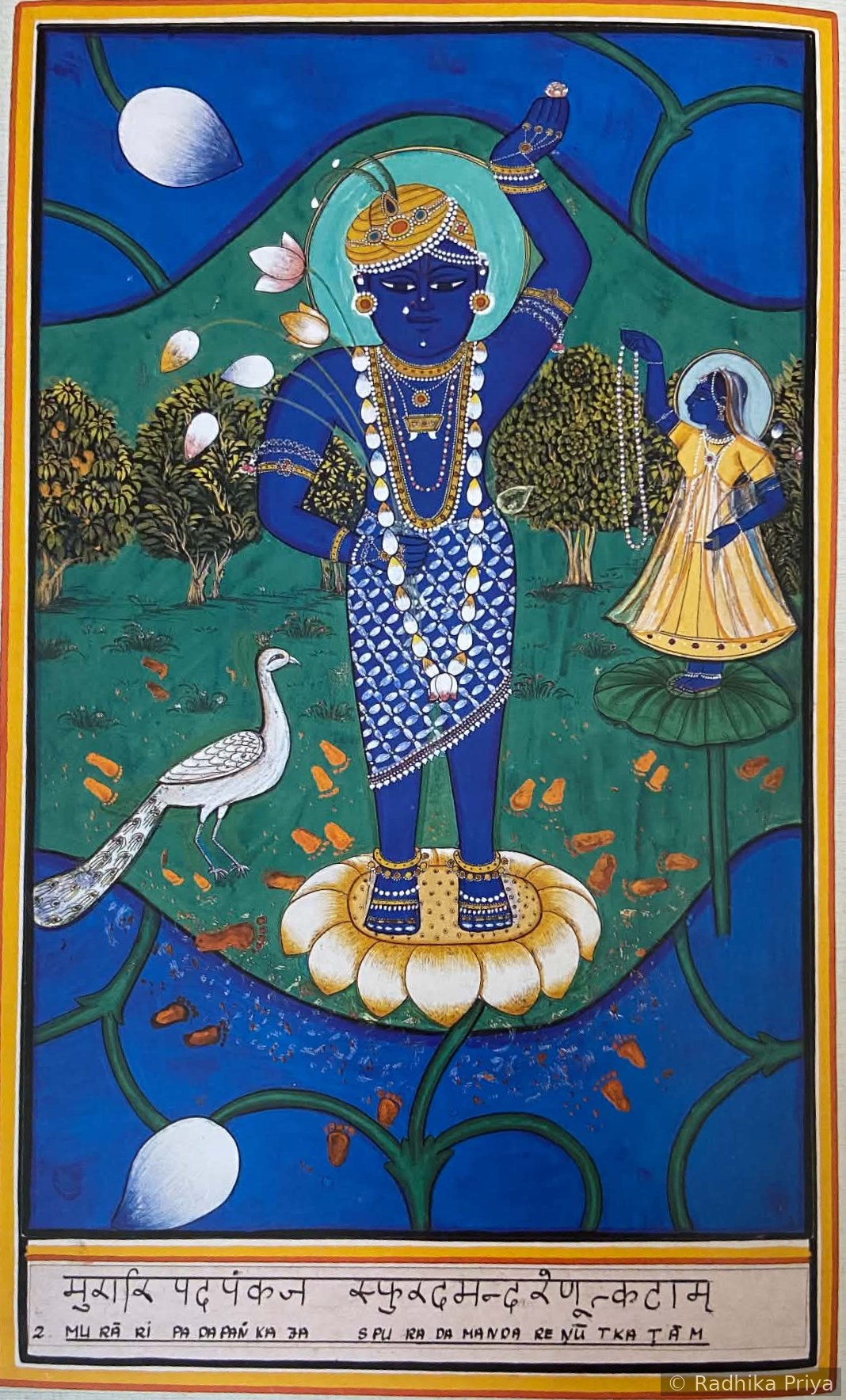 Murari on lotus
